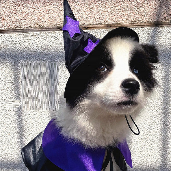 Disfraz de Mago para Mascotas - Set Completo de Decoración Halloween