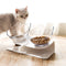 Comedero Doble para Gatos con Soporte Elevado Antideslizante - Protege la Cervical
