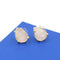 Brincos de Cristal Lapidado com Gota - Elegância Minimalista para Mulheres
