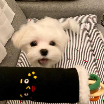 Juguete Interactivo de Sushi con Sonido para Mascotas