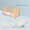 Cama Y Colchón 1.6 M