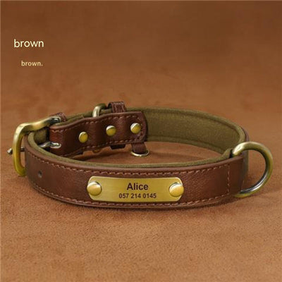 Collar para Perro Personalizado con Grabado Anti-pérdida - Image 5