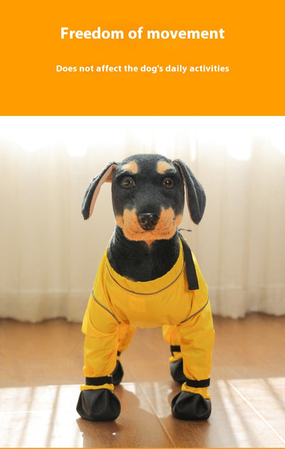 Protectores de Patas Impermeables para Perros - Image 14