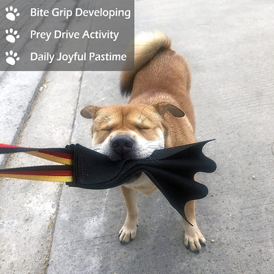 German Shepherd holding a black leather dog bite rag with a red, yellow, and black striped handle. - Image 18