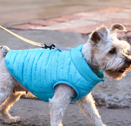 Abrigo Impermeable para Perros Otoño e Invierno con Cierre de Cremallera