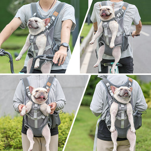 Mochila Transpirable para Perros con Malla Ventilada - Image 5