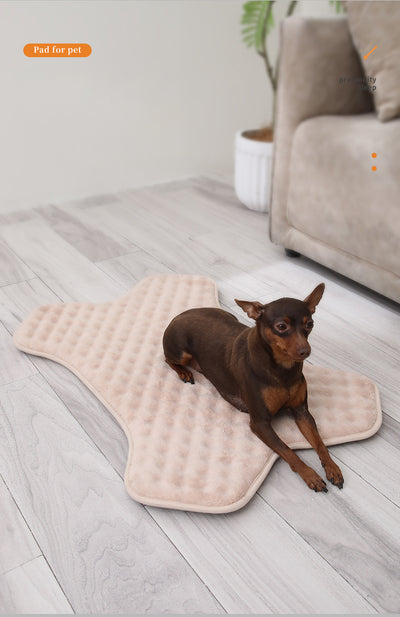 Tapete Antideslizante para Mascotas Pequeñas y Medianas - Protección Total - Image 9