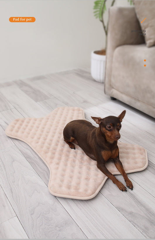 Tapete Antideslizante para Mascotas Pequeñas y Medianas - Protección Total - Image 9
