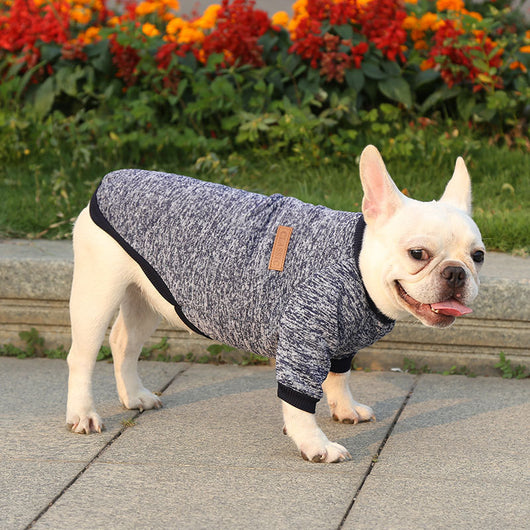 Suéter Abrigado para Perros - Ropa de Invierno Otoño Dos Patas - Image 14