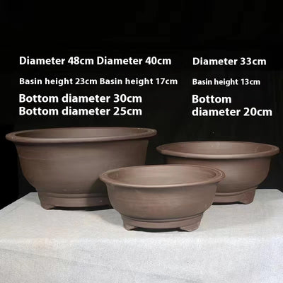 Maceta de Cerámica Púrpura Extragrande para Plantas de Interior - Image 22