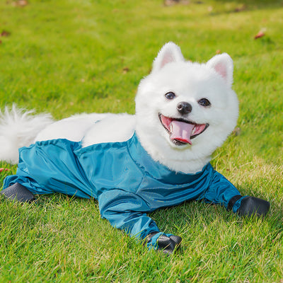 Traje Protector Antipolvo para Mascotas con Pañal Integrado - Image 15