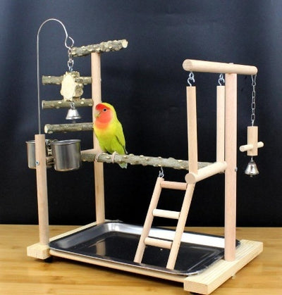 Percha Madera para Loros y Pájaros Exóticos con Diseño Natural - Image 10