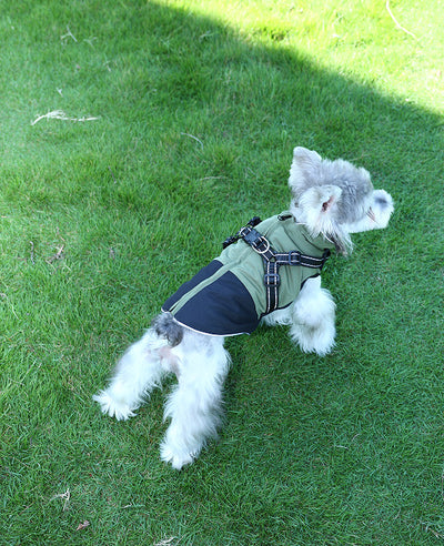 Ropa Impermeable para Mascotas en Algodón Resistente - Image 6