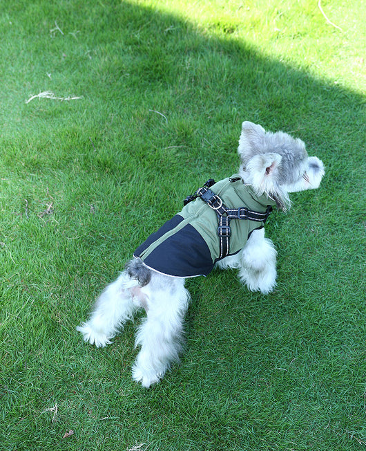 Ropa Impermeable para Mascotas en Algodón Resistente - Image 6
