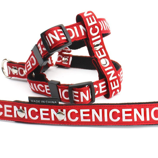Collar de Tracción para Perros en Poliéster PET Resistente