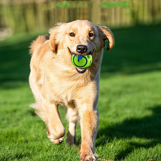 Green and blue striped dog toy food dispenser ball with kibble, measuring 14CM in diameter.