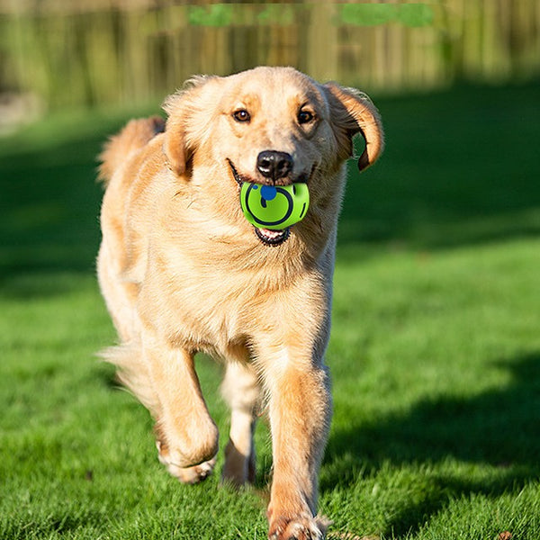 Green and blue striped dog toy food dispenser ball with kibble, measuring 14CM in diameter.