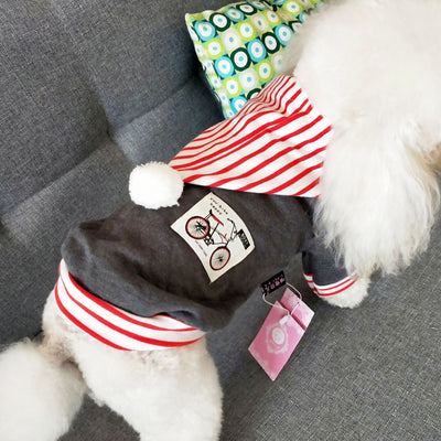 Ropa para Mascotas Primavera Verano - Teddy Adorable - Image 8