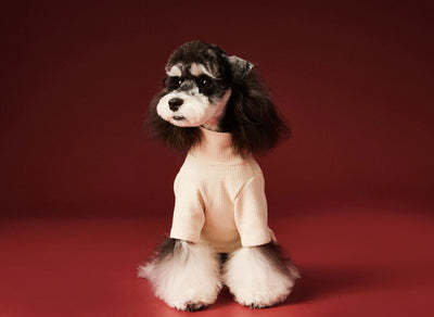 Ropa Térmica para Perros - Abrigo Waffle Otoño e Invierno - Image 14