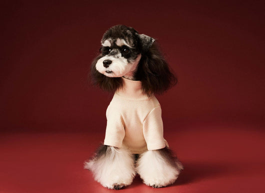 Ropa Térmica para Perros - Abrigo Waffle Otoño e Invierno - Image 14
