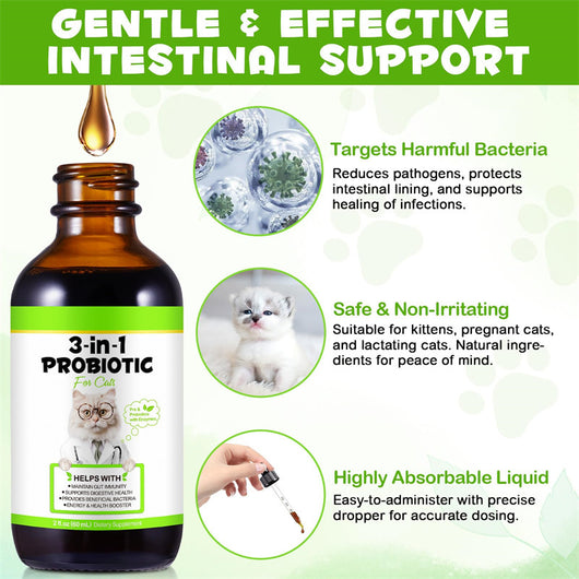 Probióticos 3 en 1 para Gatos con Prebióticos y Enzimas Digestivas - Image 9