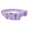 Light Morado S
