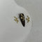 Oro Serpiente Talla Pequeña