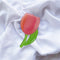 À Tulipán