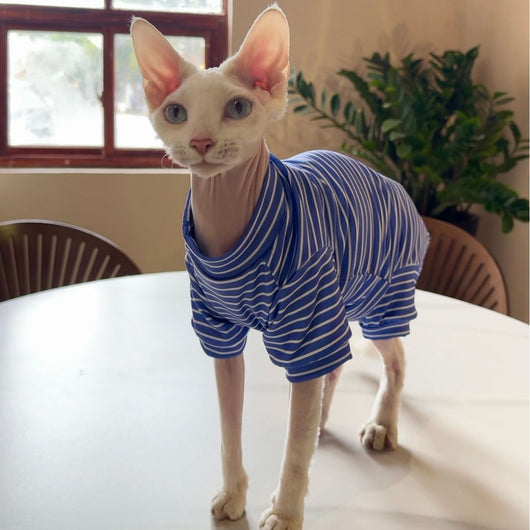 Ropa Transpirable para Gatos - Diseño Ligero y Fresco - Image 4