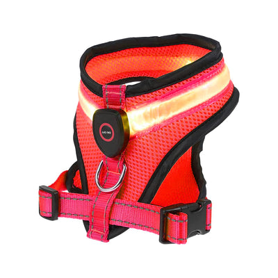 Arnés LED Recargable con Malla Reflectante para Perros - Image 14