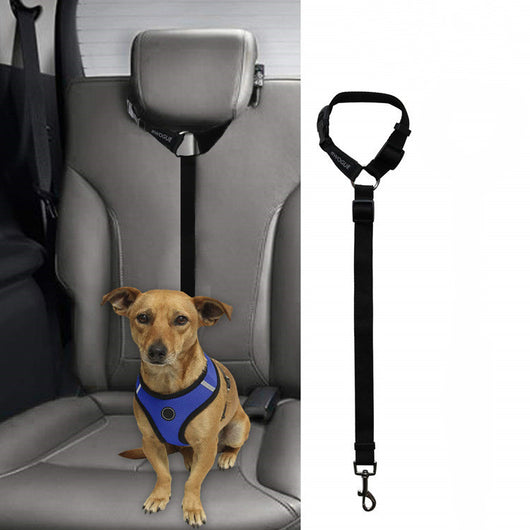 Correa de Seguridad para Mascotas en Auto - Image 11