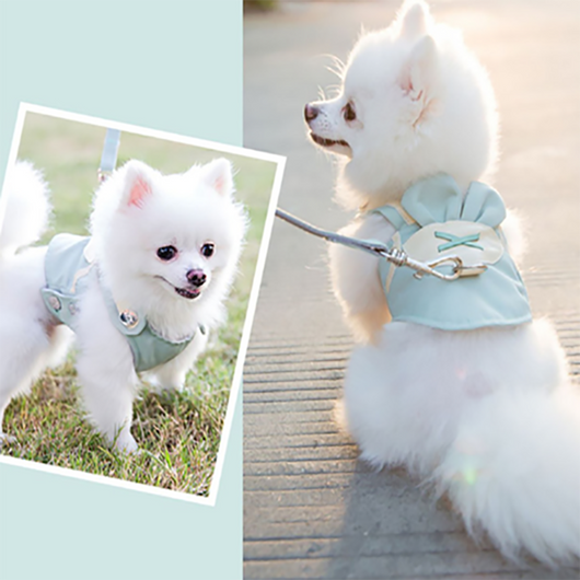 Conjunto de Arnés y Correa Adorable para Perro - Image 14