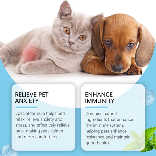 Gotas Inmunológicas Premium para Perros y Gatos - Suplemento Nutricional Reforzado - Image 6