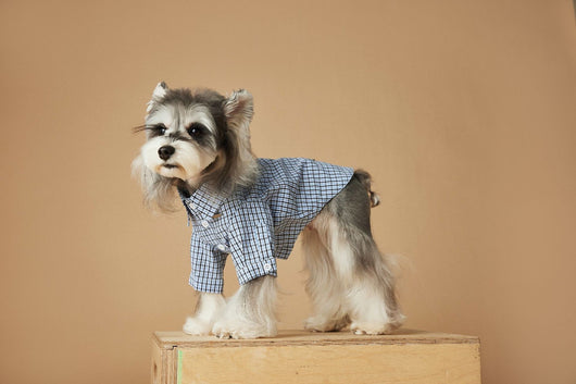 Camisa Cuadriculada de Verano para Perros Pequeños - Image 25