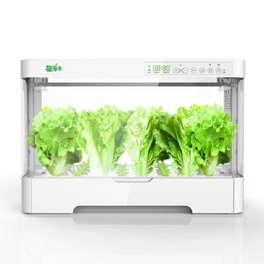 Sistema Automático de Cultivo Hidropónico sin Suelo - Image 5