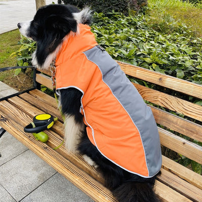 Abrigo Deportivo para Mascotas - Protección Otoño e Invierno - Image 6