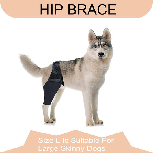 Protector de Fractura para Patas Delanteras y Traseras en Perros - Image 4