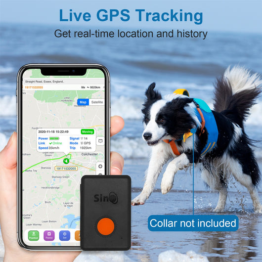 Sinotrack GPS tracker kit with black device, orange button, white charging cable, lanyard, pouch, and box. - Image 14