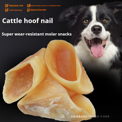 Palo Masticable Anti-Mordida para Perros - Image 8