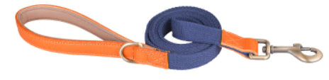 Collar de Cuero para Perros Anti-pérdida con Placa de Identificación - Image 12