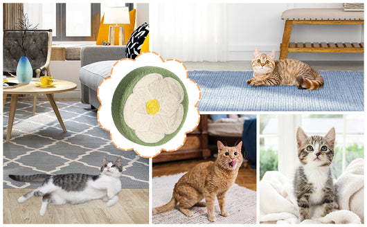 Cama Rascador para Gatos - Nido Acogedor con Zona de Descanso y Juego - Image 11