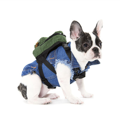 Mochila Cuadrada Lavable para Perros Pequeños - Image 12