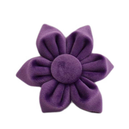 Collar de Terciopelo para Perros - Comodidad y Estilo - Image 17
