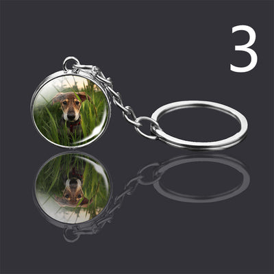 Llavero Colgante de Cristal Doble Cara Luminoso para Mascotas - Image 50