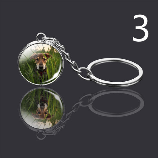 Llavero Colgante de Cristal Doble Cara Luminoso para Mascotas - Image 50