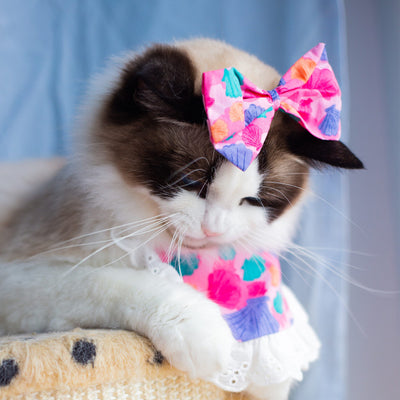 Babero Pañoleta Encaje Gato Estilo Princesa con Decoración - Image 38