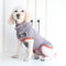 Suéter para Perro Vintage Chic - Abrigo Cálido y Elegante