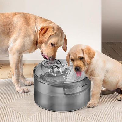 Dispensador Automático de Agua Circulante para Gatos y Perros - Image 12