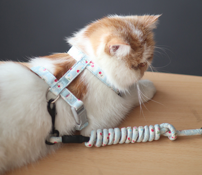 Arnés de Paseo para Gatos con Correa Pectoral - Image 9