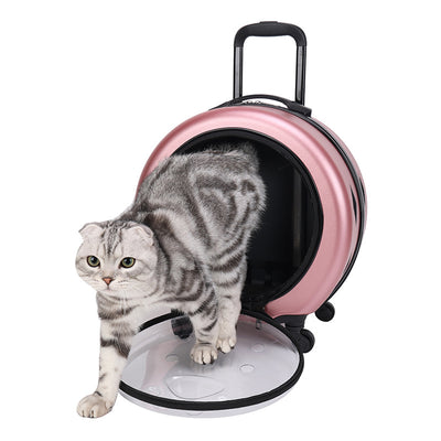 Bolsa Transportadora Transparente Reforzada para Mascotas - Gatos y Perros - Image 4
